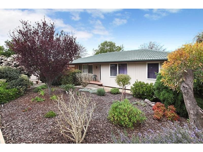 38 Borrow Street, Freeling SA 5372