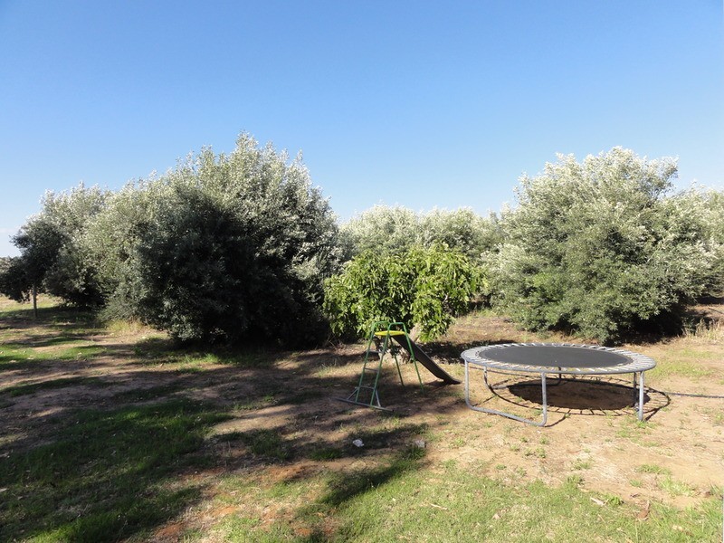 Lot  201 Gawler River Road, Lewiston SA 5501