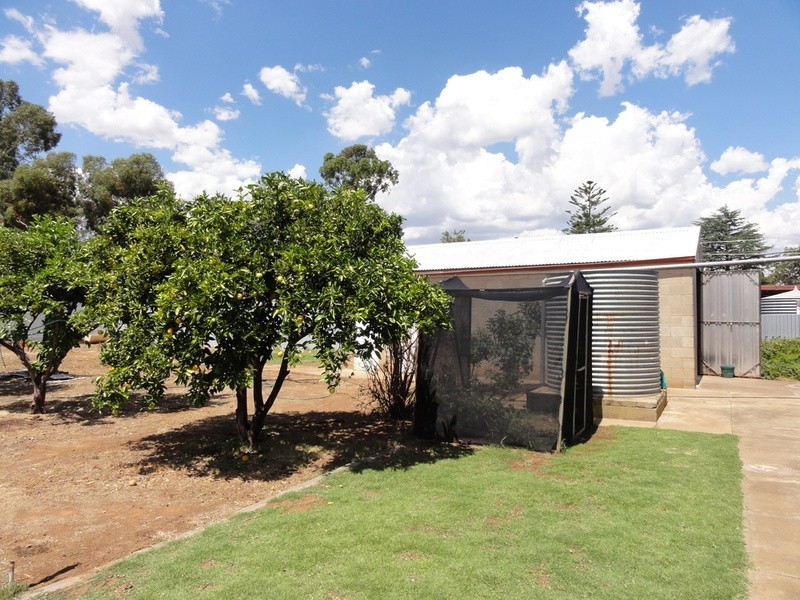 6 Barker Street, Willaston SA 5118