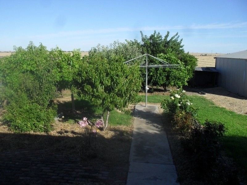 29 Derby Street, Freeling SA 5372