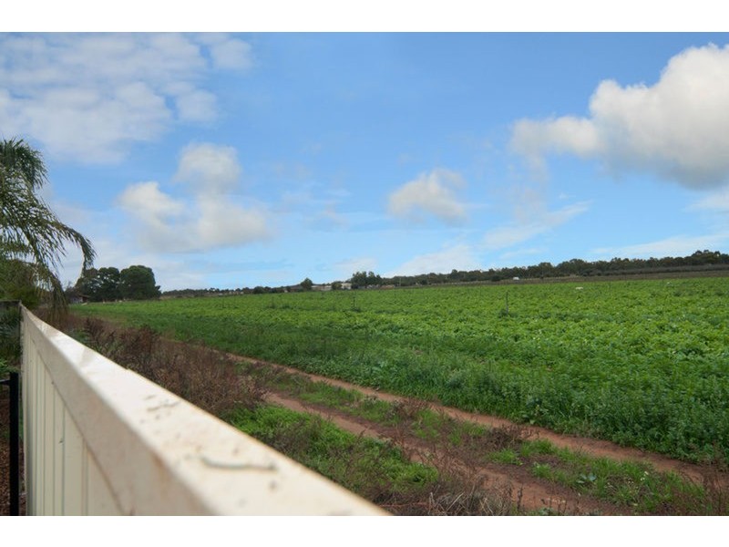 7 Joseph Court, Angle Vale SA 5117