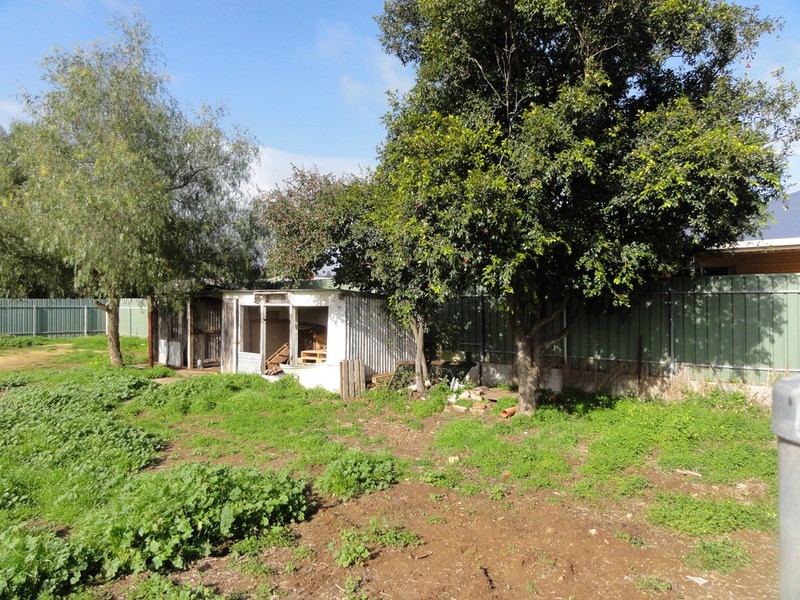 58 Second Street, Gawler South SA 5118