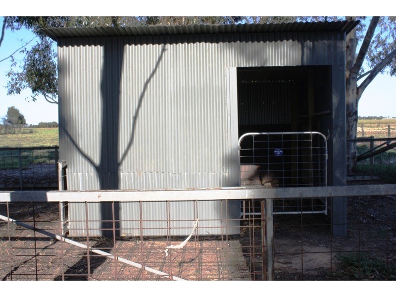 55 Williams  Road, Two Wells SA 5501