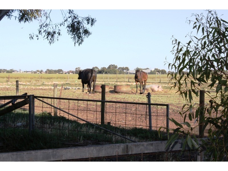 55 Williams  Road, Two Wells SA 5501