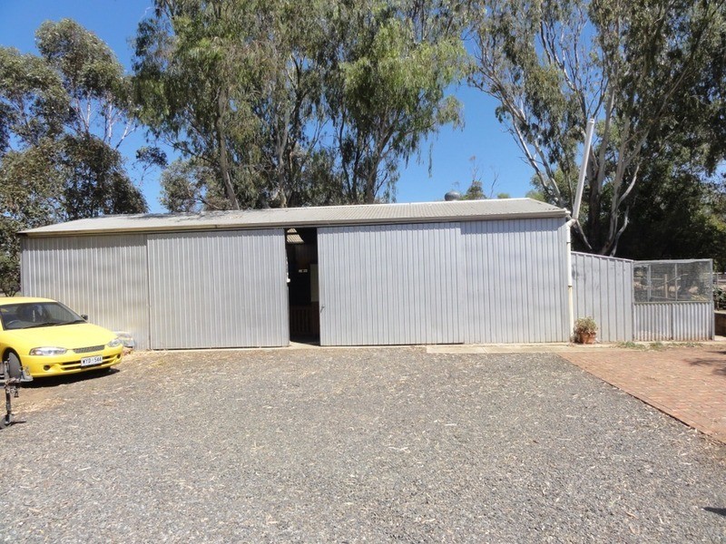 13 Lawrie Road, Lewiston SA 5501