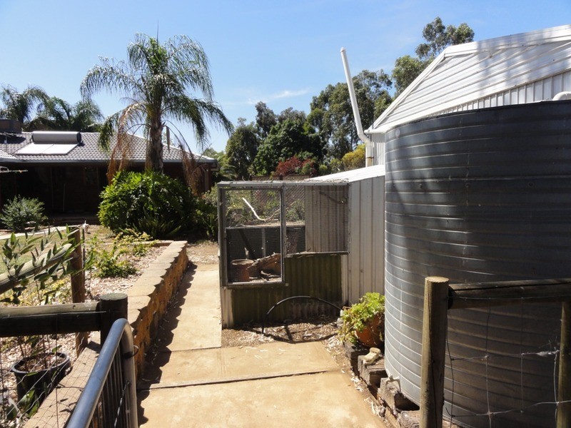 13 Lawrie Road, Lewiston SA 5501