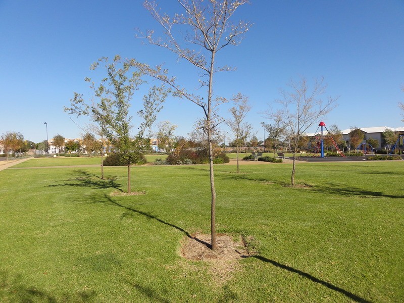 22 St Lawrence Avenue, Andrews Farm SA 5114