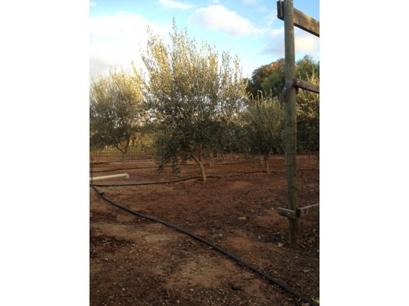 14 Higgins Road, Angle Vale SA 5117