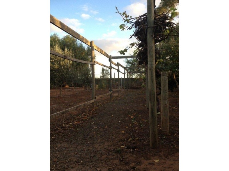 14 Higgins Road, Angle Vale SA 5117