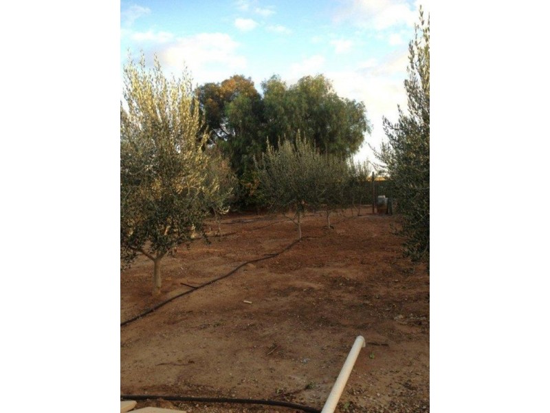 14 Higgins Road, Angle Vale SA 5117