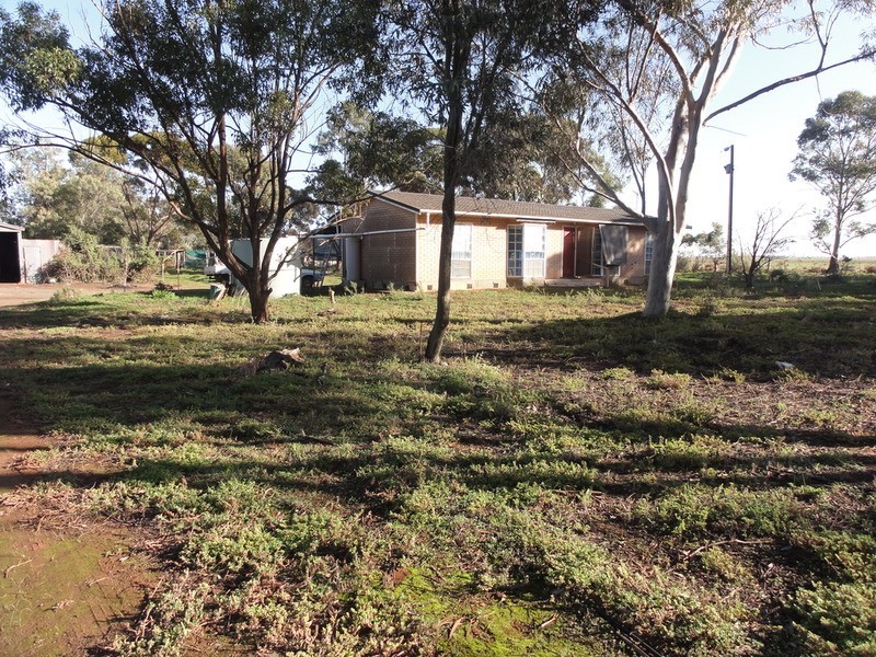 595 Williams Road, Two Wells SA 5501