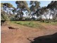 595 Williams Road, Two Wells SA 5501