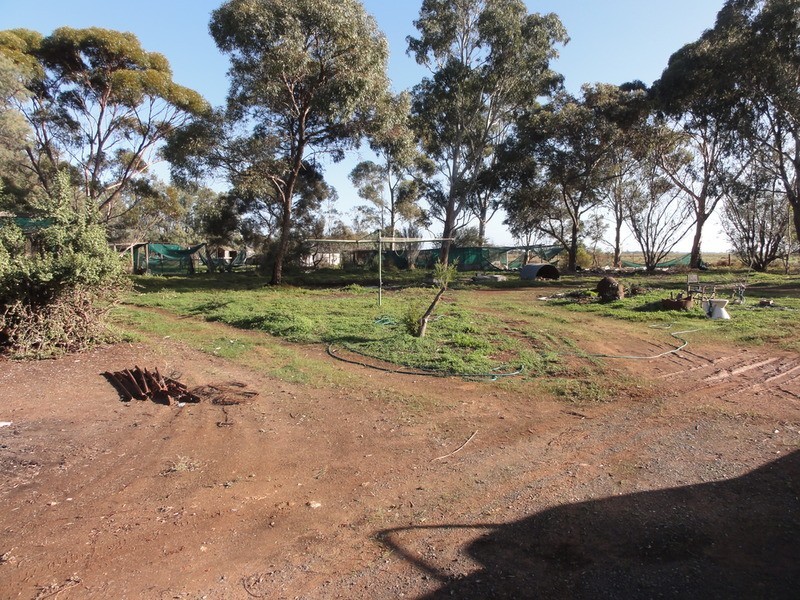 595 Williams Road, Two Wells SA 5501