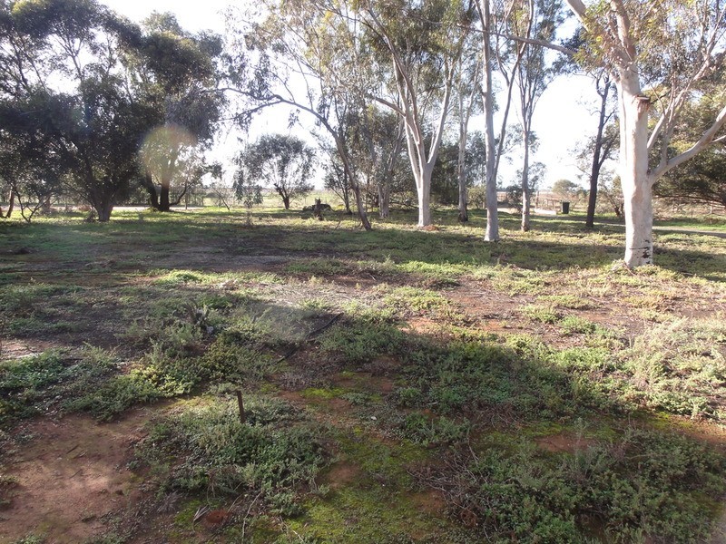 595 Williams Road, Two Wells SA 5501