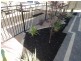 22 Lodge Way, Blakeview SA 5114