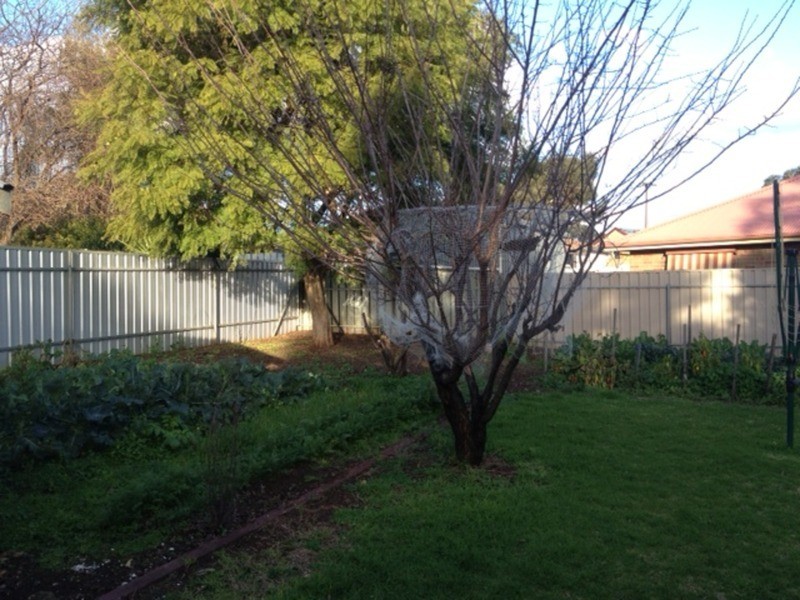 9 Barossa Avenue, Gawler East SA 5118