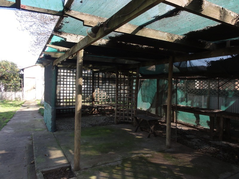 35 Brown Street, Willaston SA 5118