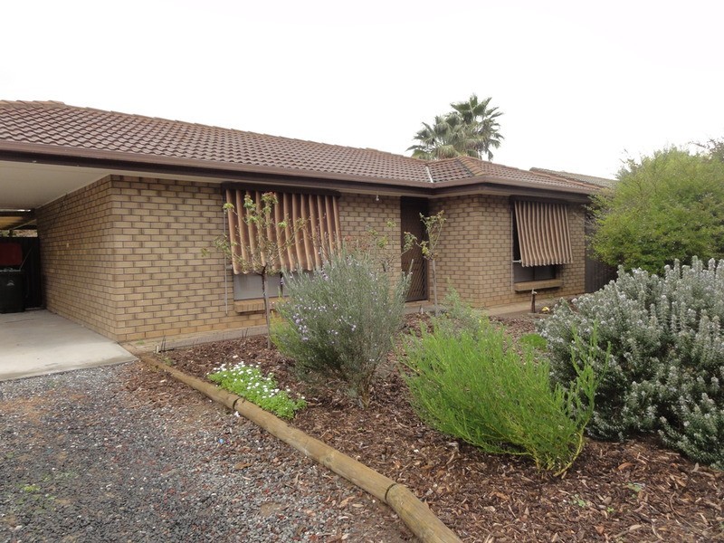 3 Window Street, Willaston SA 5118