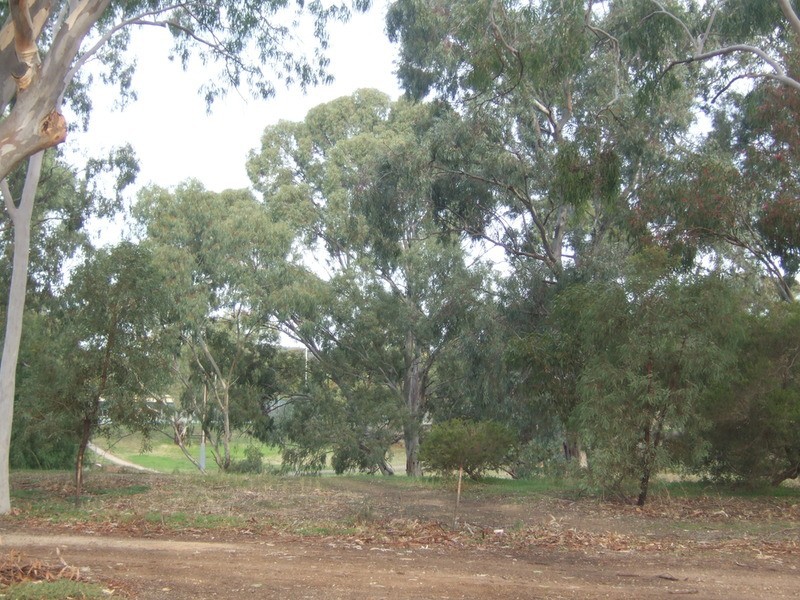 16 Weaver Drive, Willaston SA 5118