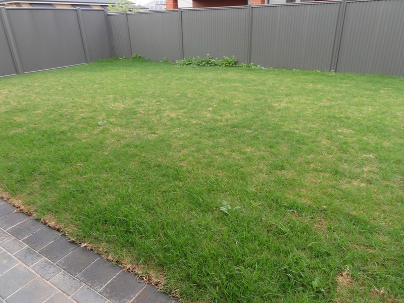 LOT 206 (51) Hayfield Avenue, Blakeview SA 5114