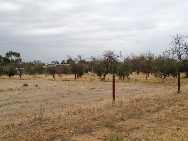 LOT 706 Dawkins Road, Lewiston SA 5501