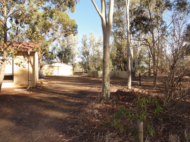 48 Broadacres Drive, Penfield Gardens SA 5121