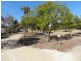 24 The Barracks, Cockatoo Valley SA 5351