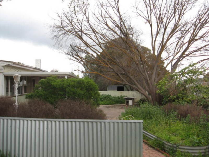 3 Adelaide Road, Kapunda SA 5373