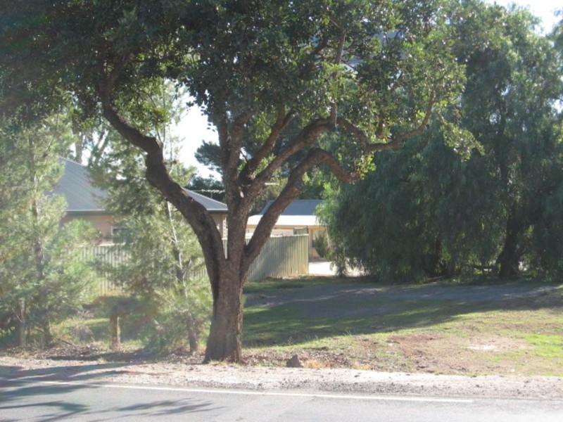 3 Adelaide Road, Kapunda SA 5373