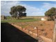 Lot 1 Waroonga Road, Eudunda SA 5374
