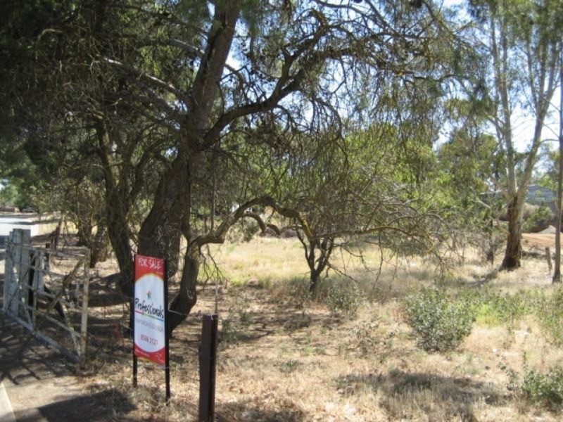 Lot 302 South Terrace, Eudunda SA 5374
