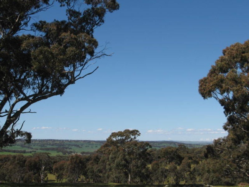 Lot 101 Peters Hill Via, Kapunda SA 5373