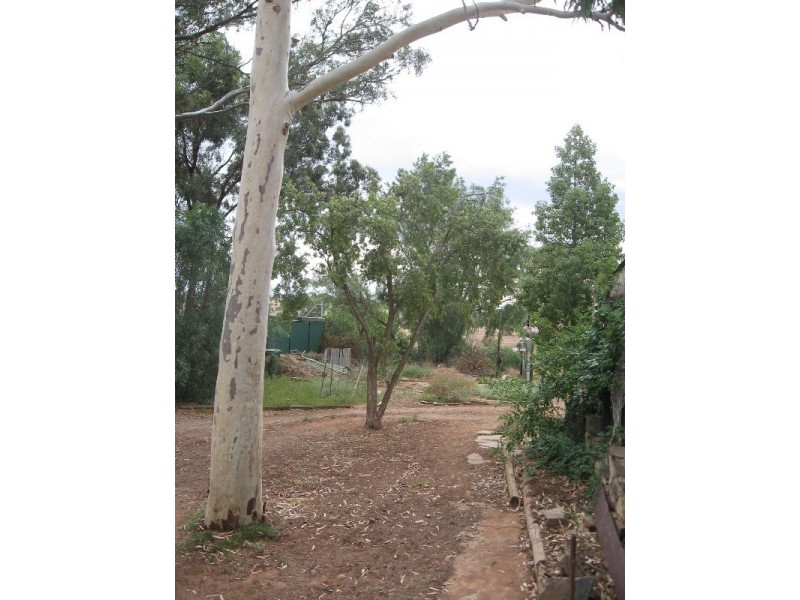 37 Old Adelaide Road, Kapunda SA 5373