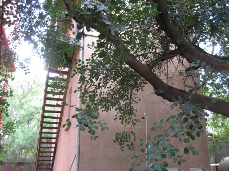 11 Railway Terrace, Hamley Bridge SA 5401