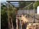 62 Old Adelaide Road, Kapunda SA 5373