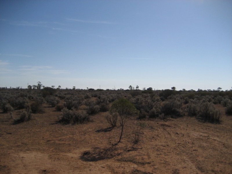 Sec 17 Government Road, Morgan SA 5320