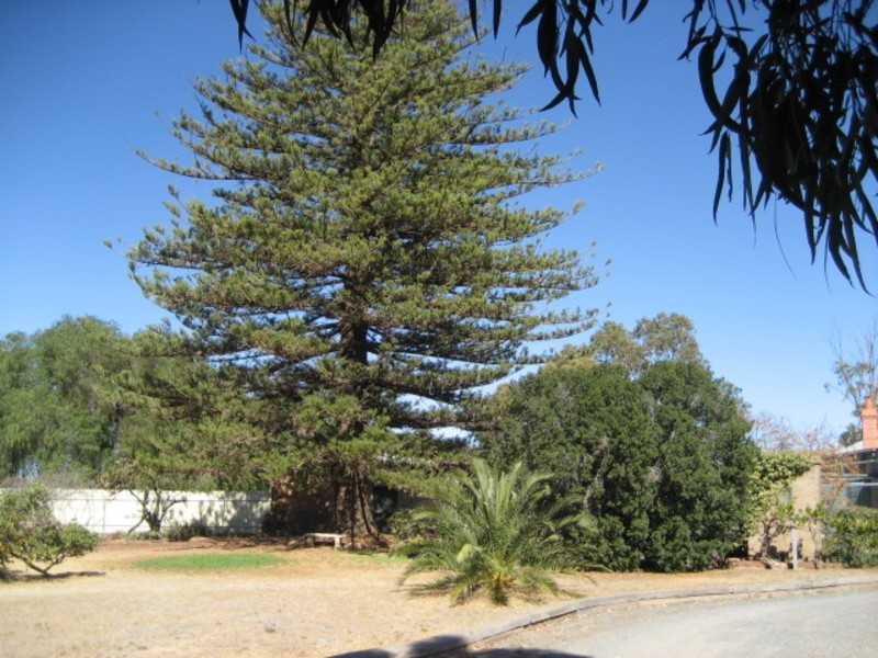 9 Main Street, Point Pass Via, Eudunda SA 5374