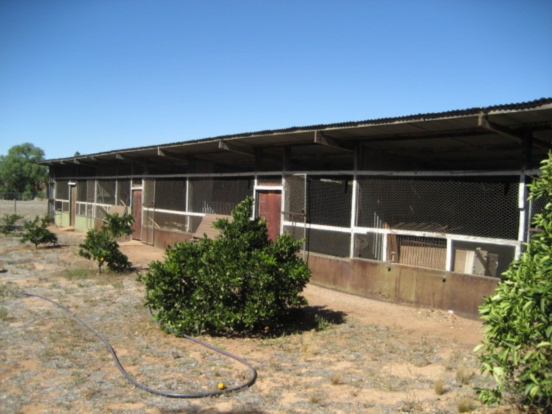 9 Main Street, Point Pass Via, Eudunda SA 5374