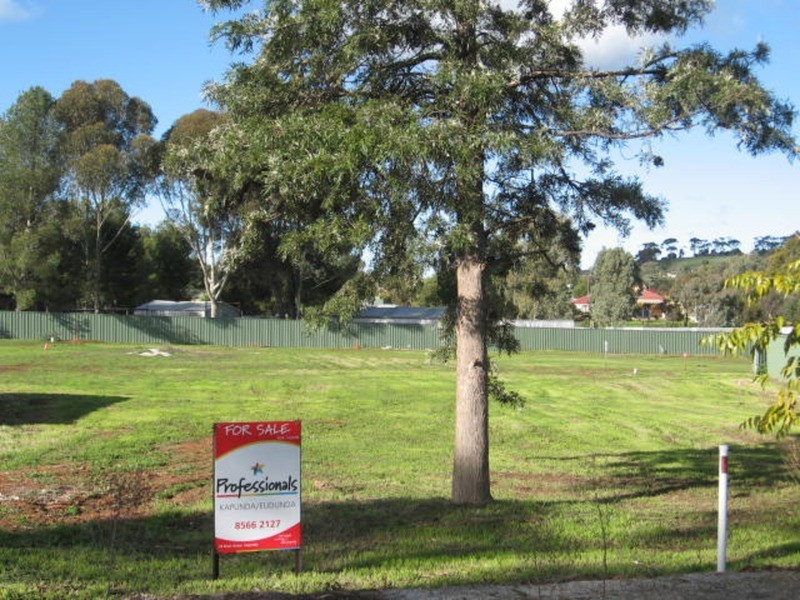 Various Lots Cnr Maxwell & Kapunda Street, Kapunda SA 5373