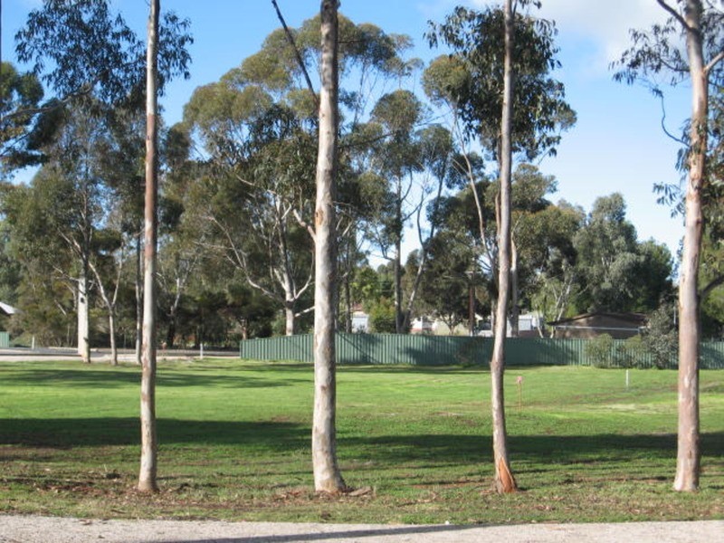 Various Lots Cnr Maxwell & Kapunda Street, Kapunda SA 5373