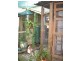 16 Hill Street, Kapunda SA 5373