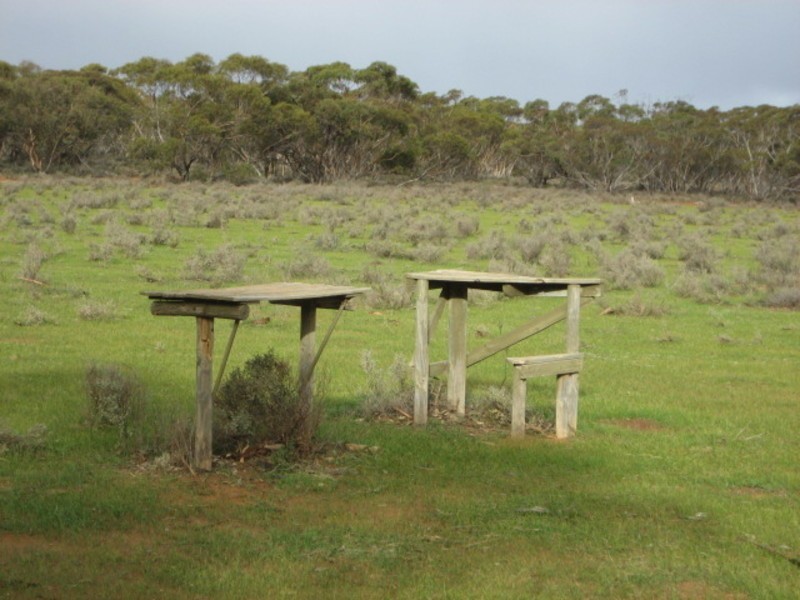 Sec 54 Old Punyelroo Road, Swan Reach SA 5354