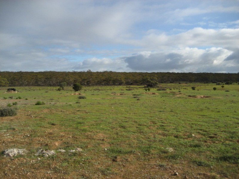 Sec 54 Old Punyelroo Road, Swan Reach SA 5354