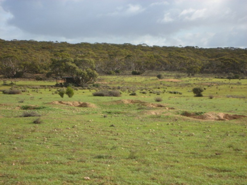 Sec 54 Old Punyelroo Road, Swan Reach SA 5354