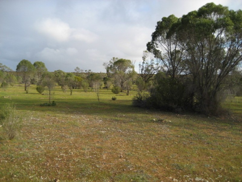 Sec 54 Old Punyelroo Road, Swan Reach SA 5354