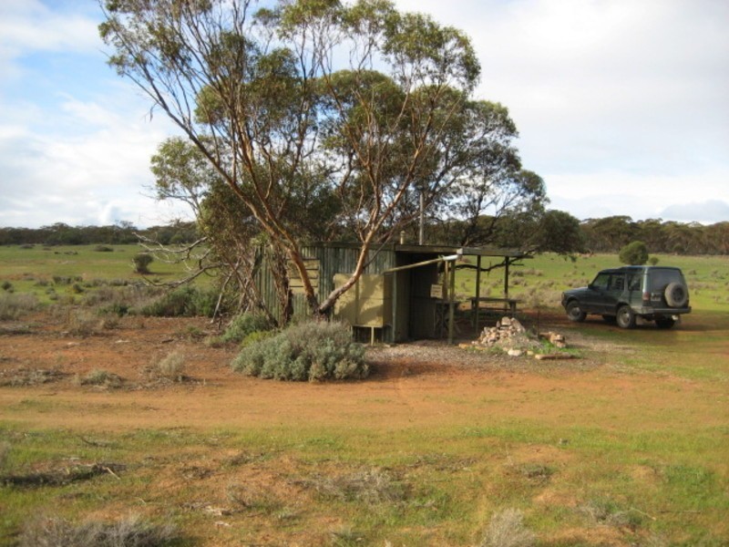 Sec 54 Old Punyelroo Road, Swan Reach SA 5354