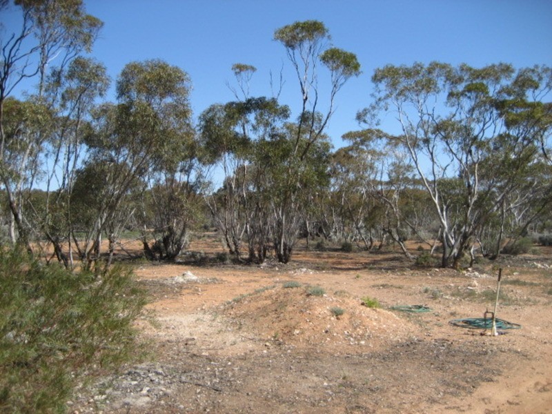 Lot 1 May Road, Bower SA 5374