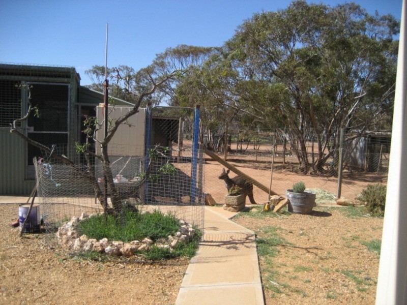 Lot 1 May Road, Bower SA 5374