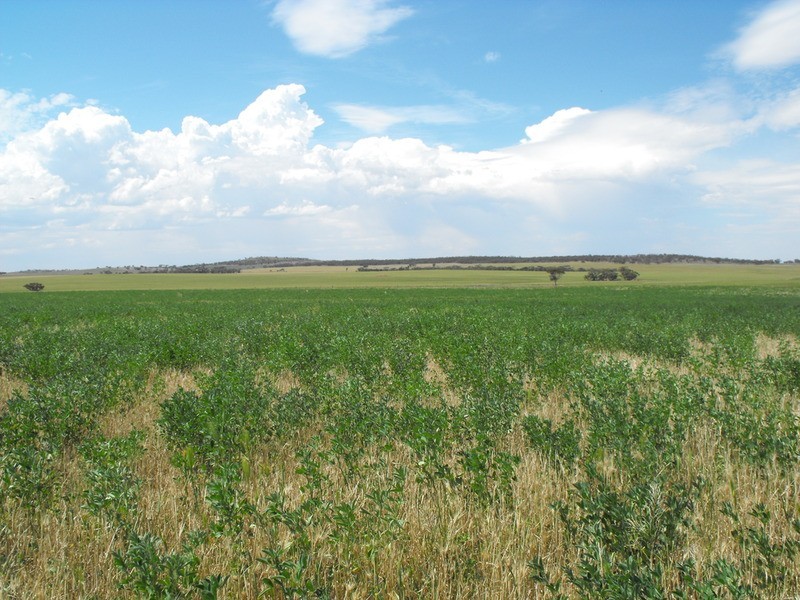 Lot 1 Plains Road, Eudunda SA 5374