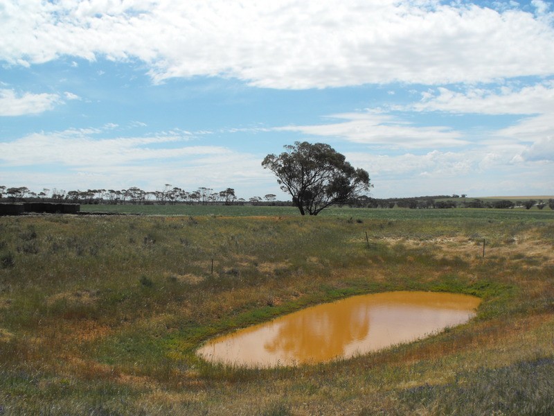 Lot 1 Plains Road, Eudunda SA 5374